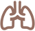 ҽƲ